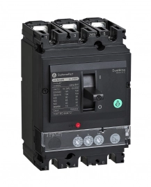 SPC250N25022L3DF Авт.выключатель SYSTEMEPACT CCB250 50KA 3P3D S2.2 250A РЫЧАГ